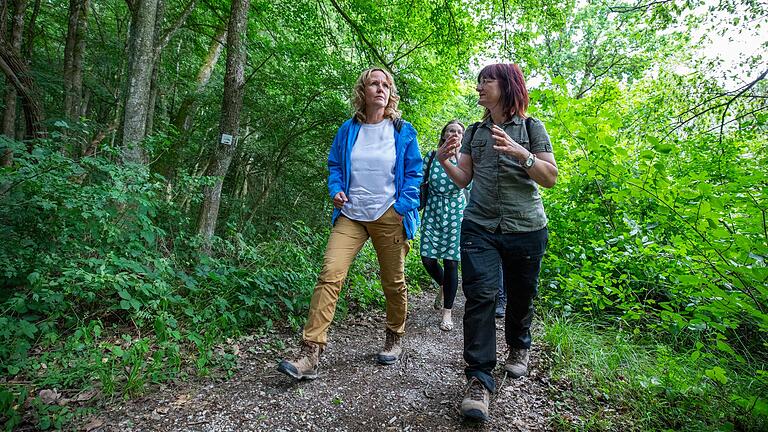 Bundesumweltministerin Steffi Lemke (links) zu Besuch im Steigerwald: In Ebrach informierte sie sich am Montag über die Pläne zu einem geplanten Nationalpark und ließ sich von Ulla Reck durch ein Waldstück nahe des Wanderparkplatzes Handthaler Graben führen.