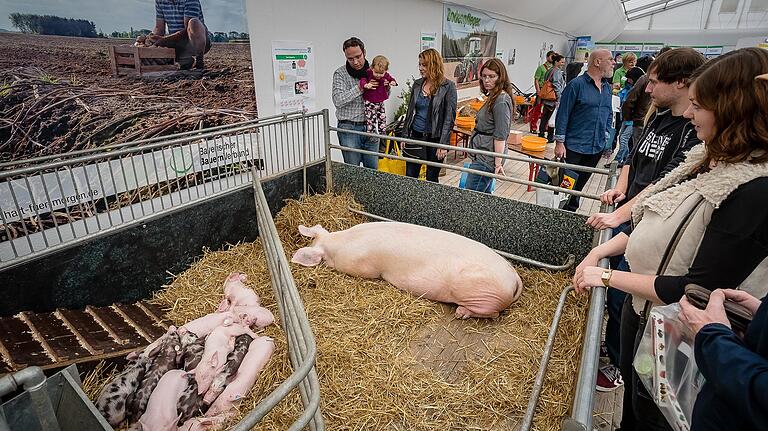 Bei der Ufra 2020 wird es die traditionelle Tierhalle nicht geben - dafür kann man verschiedene Tiere im Außenbereich erleben kann.