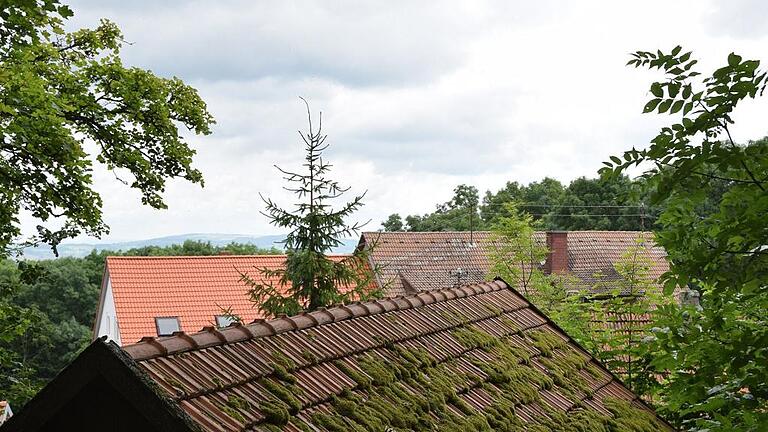 Über den Firsten der Anwesen eines winzigen bewohnten Fleckchens, an dem einst ein stolzes Gemäuer stand, ist die Hohe Geba zu erkennen. Über den Firsten der Anwesen eines winzigen bewohnten Fleckchens, an dem einst ein stolzes Gemäuer stand, ist die Hohe Geba zu erkennen.