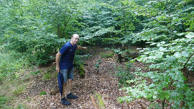 Gerd Reimer vom Heimat- und Geschichtsverein Steinfeld-Hausen-Waldzell zeigt die im dichten Wald verborgenen Hügelgräber seiner Heimat. Gerd Reimer vom Heimat- und Geschichtsverein Steinfeld-Hausen-Waldzell zeigt die im dichten Wald verborgenen Hügelgräber seiner Heimat.