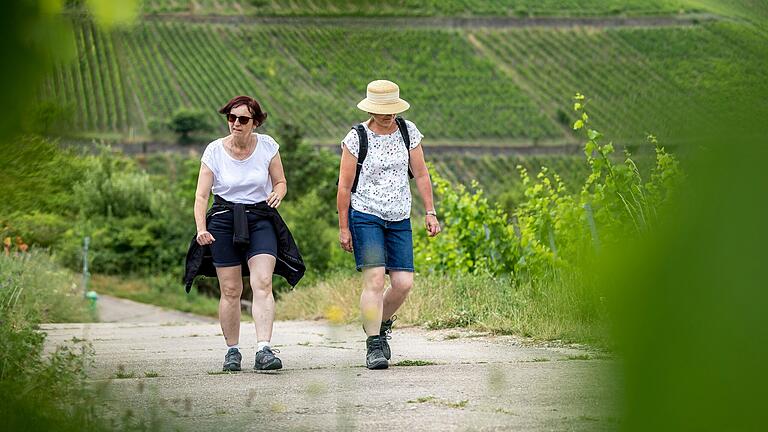 Unterwegs auf dem Homburger Weinwanderweg: Die Tour gehört zu den touristischen Aushängeschildern des Winzerdorfes im Landkreis Main-Spessart.