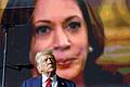 urn_newsml_dpa.com_20090101_241030-99-877686-v4-s2048.jpeg       -  Ex-US-Präsident Donald Trump und Vizepräsidentin Kamala Harris kämpfen um die Mehrheiten in den Swing-States