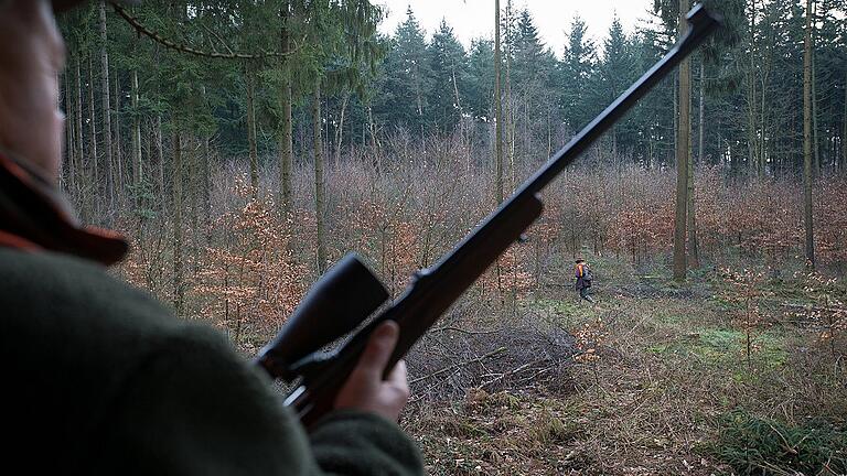 Jagd auf Wildschweine       -  Jäger bei der Drückjagd. Ist es Aufgabe der Jäger, der Landwirte oder des Staates, Nutztiere vor der Afrikanischen Schweinepest zu schützen?