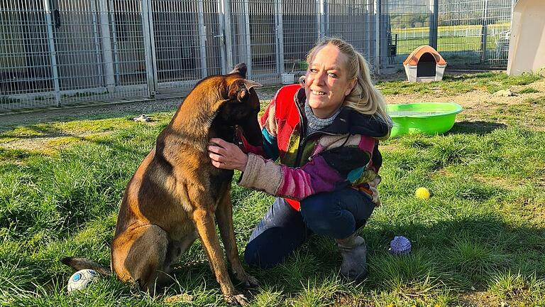 Der Belgische Schäferhund Kasper, hier zu sehen mit Tierheimleiterin Britta Merkel, braucht viel Sport. Deshalb sollte seine nächste Besitzerin oder sein nächster Besitzer ebenfalls eine Sportskanone sein.