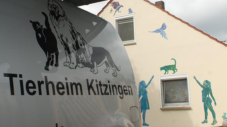 Das Kitzinger Tierheim will in Kitzingen neu bauen. Das Kitzinger Tierheim will in Kitzingen neu bauen.