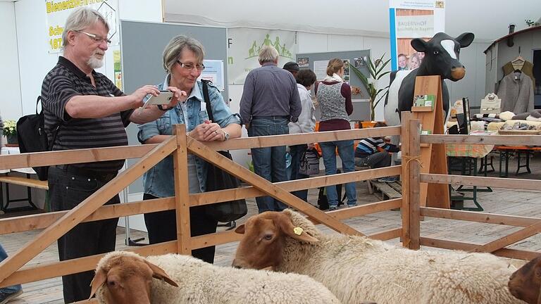 ufra-Eröffnung       -  Bis 5. Oktober zeigen 400 Aussteller auf der ufra in Schweinfurt ihre Angebote. Bauen, Wohnen, Dienstleistung und Gesundheit sind unter anderem die Schwerpunkte. Zur  Eröffnung der Messe am Samstag (27.9.14) waren zahlreiche Vertreter des öffentlichen Lebens gekommen.