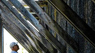 Gradieren: Sole rieselt über Schwarzdorn.