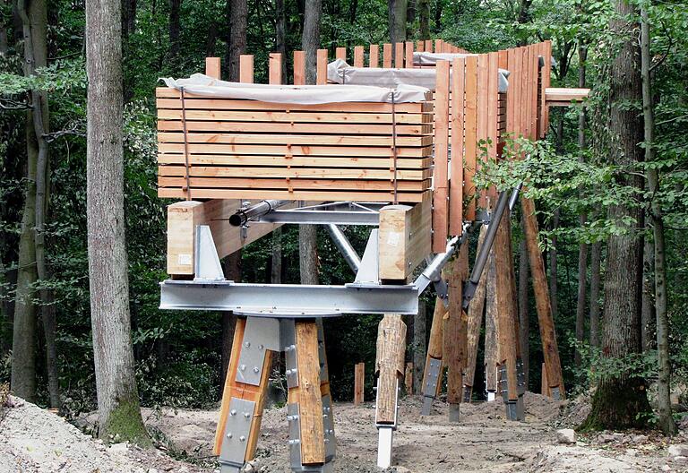 Auf diesem Bild, das den seinerzeitigen Baubeginn auf dem Baumwipfelpfad Steigerwald im Eingangsbereich zeigt, ist sehr gut zu erkennen, wie das Douglasienholz gerade am Fundamentanschluss stark zugeschnitten wurde. Unten links hebt sich zudem das helle Splintholz gut ab, das sich durch die eindringende Nässe ohne entsprechenden Holzschutz als besonders anfällig für Holzpilzbefall erweisen könnte.