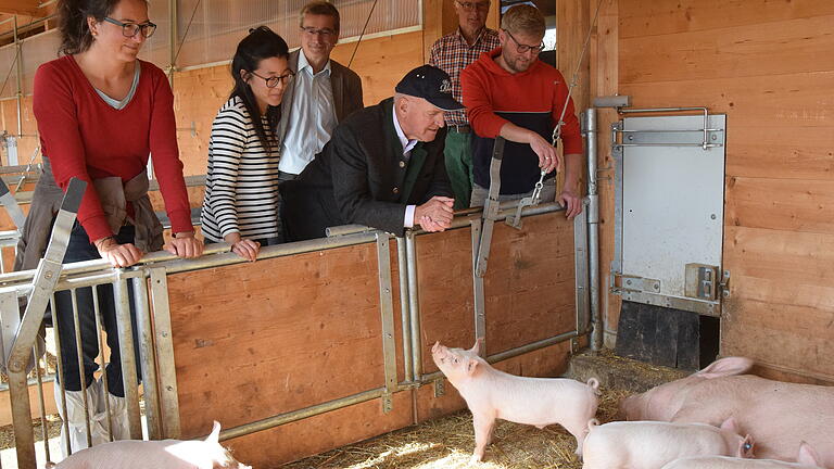 Fast wie ein Streichelzoo wirkt der Schweinestall der Familie May, den Landrat Thomas Habermann besuchte. Fast wie ein Streichelzoo wirkt der Schweinestall der Familie May, den Landrat Thomas Habermann besuchte.
