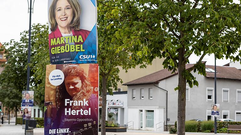 Sollten mittlerweile von den Straßen verschwunden sein: die Wahlplakate zur 19. Landtags- und Bezirkstagswahl in Schweinfurt.