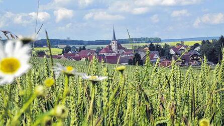 1139 erstmals erwähnt: Wiesenfeld feiert sein 875-jähriges Bestehen, ist aber wahrscheinlich viel älter.