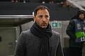 Israel - Belgien       -  Das war's für ihn: Domenico Tedesco ist nicht mehr Nationaltrainer Belgiens.