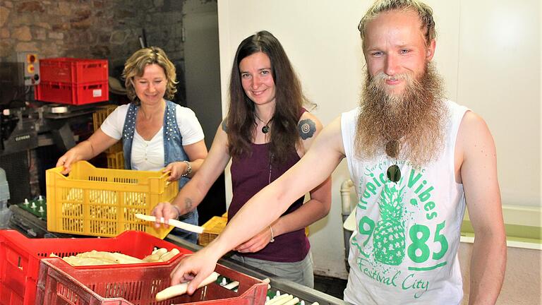 Willkommene Erntehelfer: Andrea Kohles (links) aus Prichsenstadt ist froh, dass sie mit Karolina Rybarova und Jakob Kreutzer fleißige Kräfte für die Spargelernte gefunden hat. Das Paar aus Berchtesgaden kam über ein Hilfsportal nach Franken.