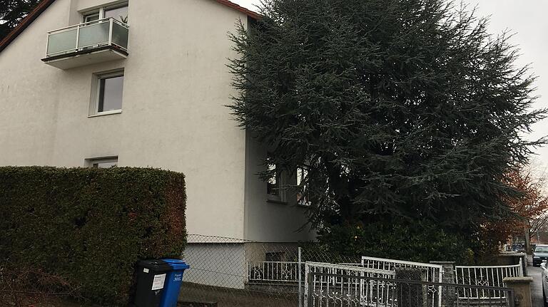 Auch der Bund Naturschutz plädiert dafür, dass wenn ein Baum so viel Licht wegnimmt wie in diesem Beispiel eine Fällung möglich sein sollte. Auch der Bund Naturschutz plädiert dafür, dass wenn ein Baum so viel Licht wegnimmt wie in diesem Beispiel eine Fällung möglich sein sollte.