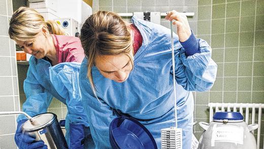 Schockgefrostetes Erbgut: Die Reproduktionsbiologin Claudia Staib (vorne) zeigt, wie Eizellen in Tanks mit flüssigem Stickstoff schlummern. Schockgefrostetes Erbgut: Die Reproduktionsbiologin Claudia Staib (vorne) zeigt, wie Eizellen in Tanks mit flüssigem Stickstoff schlummern.