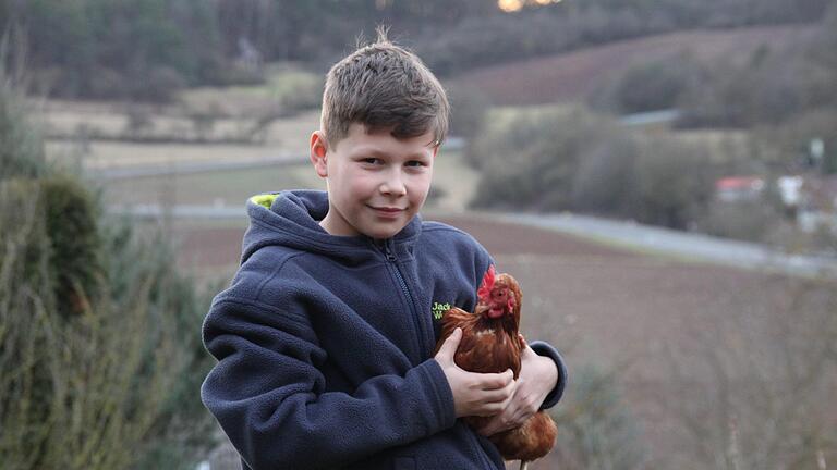 Hannes Müller (10) aus Nüdlingen hat letztes Jahr Weihnachten Hühner bekommen. Die legen jetzt Bioeier für die ganze Familie. Foto: Kerstin Väth       -  Hannes Müller (10) aus Nüdlingen hat letztes Jahr Weihnachten Hühner bekommen. Die legen jetzt Bioeier für die ganze Familie. Foto: Kerstin Väth