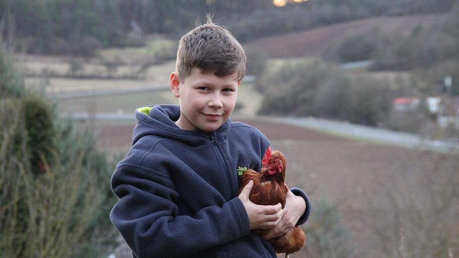 Hannes Müller (10) aus Nüdlingen hat letztes Jahr Weihnachten Hühner bekommen. Die legen jetzt Bioeier für die ganze Familie. Foto: Kerstin Väth       -  Hannes Müller (10) aus Nüdlingen hat letztes Jahr Weihnachten Hühner bekommen. Die legen jetzt Bioeier für die ganze Familie. Foto: Kerstin Väth