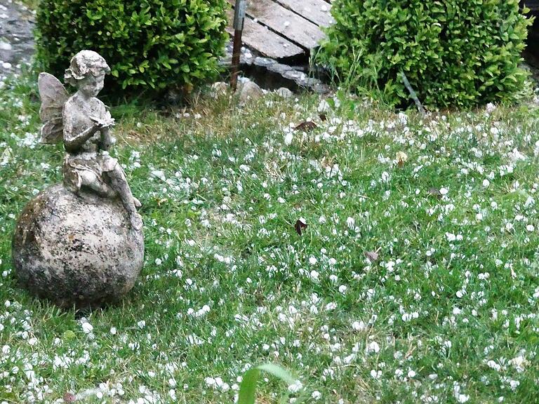 Kirschgroße Hagelkörner fielen Donnerstagabend auch im Unterpleichfelder Ortsteil Burggrumbach vom Himmel. Das Foto zeigt den Garten unseres Lesers Egon Schraud.