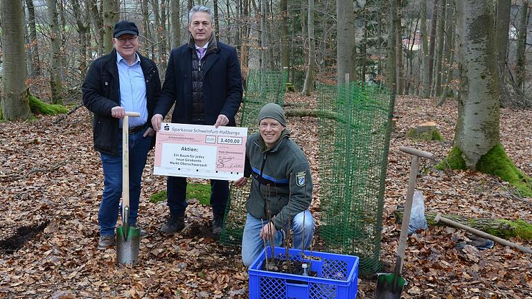 Gemeinsam pflanzten Oberschwarzachs Bürgermeister Manfred Schötz (links), Revierleiter Tobias Hahner (rechts) und Sparkassen-Vorstandsvorsitzender Peter Schleich sowie Schülerinnen und Schüler aus dem Franken-Landschulheim Schloss Gaibach neben der Hauptbaumart Eiche auch seltene Baumarten wir Wildapfel, Elsbeere, Speierling, Vogelkirsche, Mehlbeere und Wildbirne.