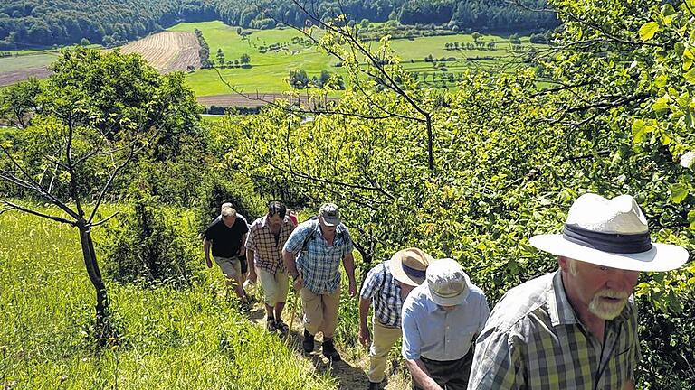 Wein und Stein: So heißt das nun eröffnete zweite Teilstück des Wanderwegs, der zum Euerdorfer Terra-triassica-Konzept gehört.