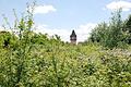 Das Deuster-Gelände im Norden Kitzingens (im Hintergrund der Deusterturm) gilt als eines der Filetgrundstücke der Stadt. Wo derzeit noch Unkraut&nbsp; wuchert, soll künftig das Staatsarchiv stehen.