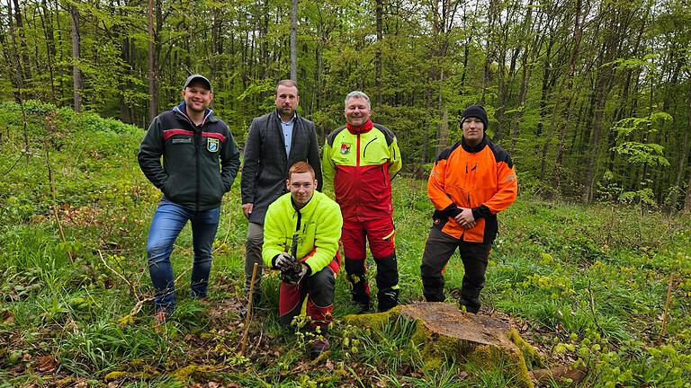 'Wer streut, der rutscht nicht aus', zitierte Revierförster Lukas Haftner eine alte Lebensweisheit. So versucht Schonungen mit der Ansiedlung neuer Baumsorten. Jetzt beginnt ein weiteres Experiment: Auf etwa 2000 Quadratmetern wurde die 'Griechische Tanne'  gepflanzt. Im Bild (von links): Revierförster Lukas Haftner, Bürgermeister Stefan Rottmann, Thomas Helmschrott und Nino Puhalo; vorne Kenny Schmitt, Forsttechniker .