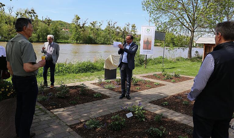 Am letzten Freitag übergab in der Mainlände gegenüber dem Biergarten  Bürgermeister Jürgen Götz offiziell sechs Beete der Öffentlichkeit, die mit den hier gepflanzten Rosen 'Schöne Veitshöchheimerin' (gelb) und 'Hl. Bilhildis' (rot) in Anlehnung an die Ortsfarben nun das Ortsbild bereichern.