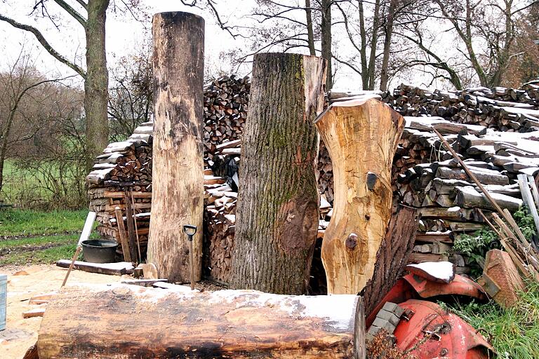 Diese Stämme warten bei den Schmidts auf Bearbeitung. Was daraus entsteht, ist noch nicht klar.