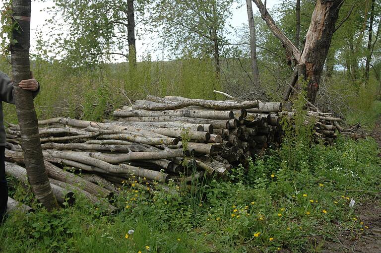 Die Holzrechtler sind berechtigt bis zu armdickes Holz zu entnehmen. Die Holzrechtler sind berechtigt bis zu armdickes Holz zu entnehmen.