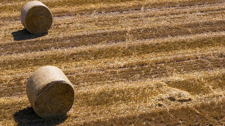 Ein abgedroschenes Feld bei Aschenroth brannte am Mittwoch. (Symbolbild)