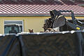 Im Frühjahr 2018 sorgte der Schweineskandal von Gelchsheim für Aufsehen. Unser Bild zeigt den Abtransport der toten Mastschweine.