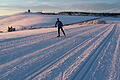 Zum Abschluss des Tages noch mal schnell in die Loipe: Alles möglich derzeit, denn der Schneefall am vergangenen Wochenende hat ausgereicht, um viele Loipen in der Rhön zu spuren - wie diese hier an der Fuldaquelle.