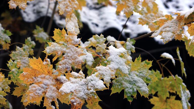 Schnee im Voralpenland       -  Mehr als fünf Zentimeter Neuschnee erwartet der Deutsche Wetterdienst in den meisten Regionen Bayerns nicht. (Archivbild)