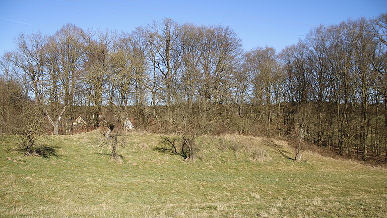 Auf dem „Felsberg“, einem kleinen Hügel neben den Klosterscheunen, sollen die Nonnen goldene und silberne Kirchengeräte sowie einige Gulden und Taler vergraben haben.       -  Auf dem „Felsberg“, einem kleinen Hügel neben den Klosterscheunen, sollen die Nonnen goldene und silberne Kirchengeräte sowie einige Gulden und Taler vergraben haben.