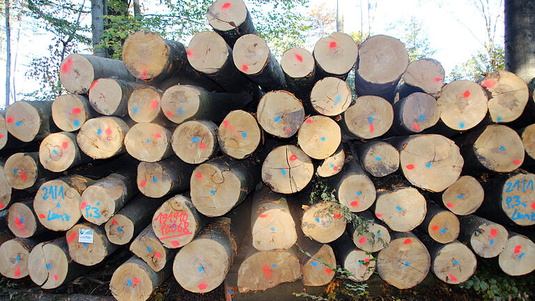 Für ein Defizit sorgte die&nbsp; Waldbewirtschaftung im vergangenen Jahr (Symbolbild).