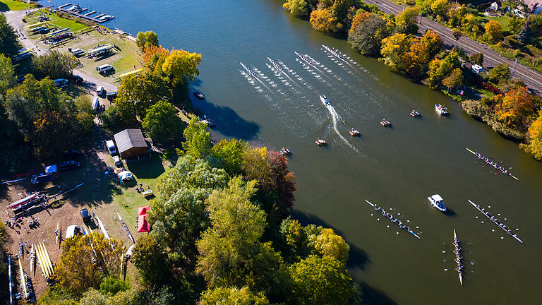 Großer Andrang: Bei den vom Schweinfurter Ruder-Club ausgerichteten deutschen Sprintmeisterschaften über 350 Meter starteten 556 Aktive.