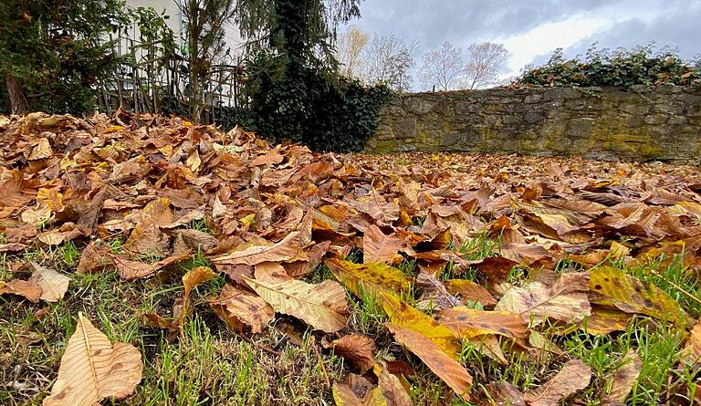 Im Herbst sieht man viele Laubhaufen in Mellrichstadt.