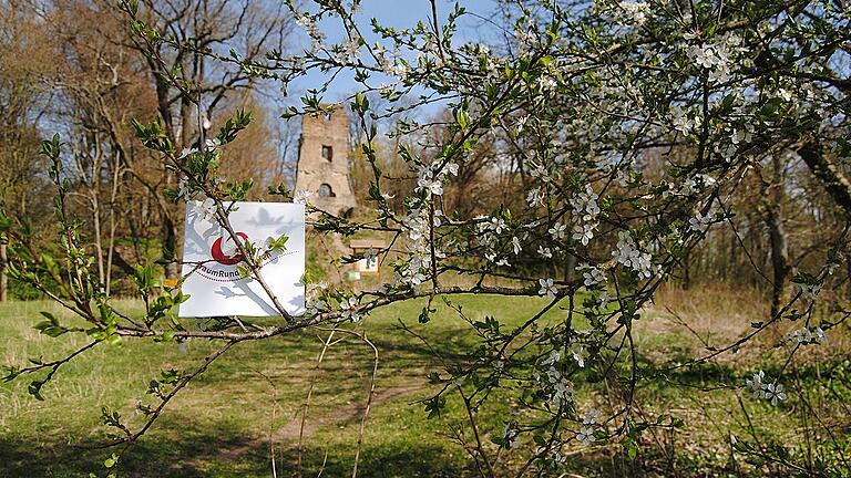 Frühlingserwachen an der Ruine Speckfeld, wo die alte Traumrunde Iphofen und die neue Tour von Markt Einersheim zusammentreffen. Die TraumRunde ist einer von sieben neuen Wanderwegen im Landkreis.