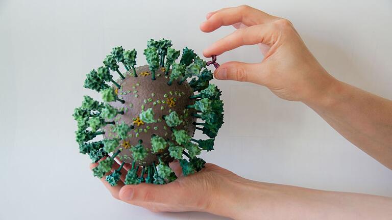Das 3D-Modell des neuen Coronavirus SARS-CoV-2 und eines Antikörpers, 1 000 000-fach vergrößert. Die Virushülle trägt neben den Stacheln (im Modell grün) auch zwei weitere Arten von Eiweißmolekülen (hellgrün und gelb auf der Oberfläche).
