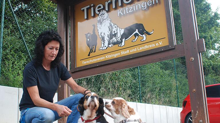 Leiterin Angela Drabant vor dem Eingang zum Kitzinger Tierheim.