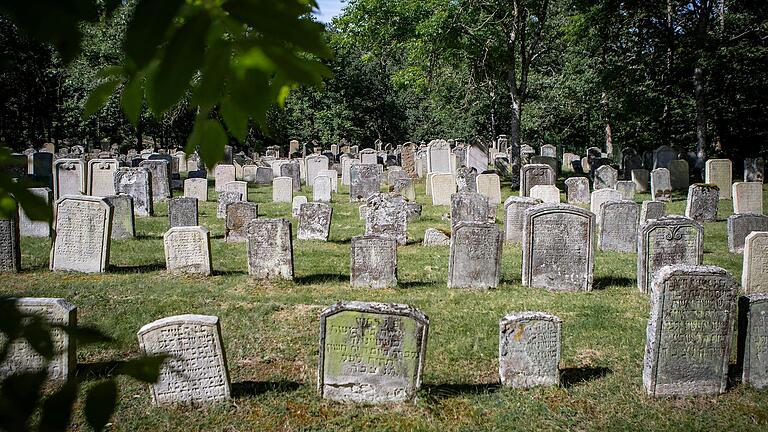 Schier unendlich ist die Zahl der Grabsteine auf dem jüdischen Friedhof in Kleinbardorf.