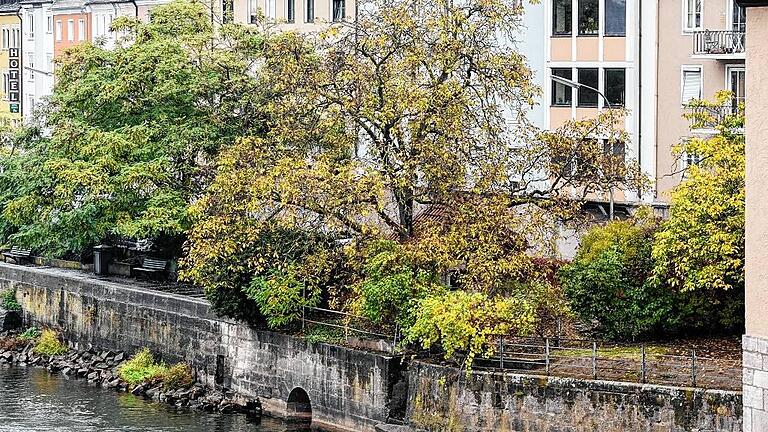 Der Blick von der Alten Mainbrücke: Rechts von der Gartenbank beginnt das städtische Grundstück mit Pavillon.