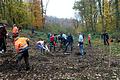 In Kooperation mit dem Verein Bergwaldprojekt e.V. wurden am Wochenende im sogenannten „Greußenheimer Loch“ in Hettstadt von etwa 75 freiwilligen Helfern 3000 klimataugliche zweijährige Baumsetzlinge in die Erde gepflanzt.&nbsp;