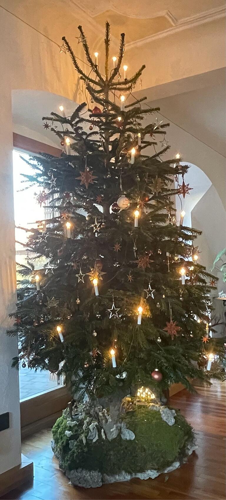 Die Besonderheit des Weihnachtsbaums von Klaus Seubert aus Lendershausen ist die Wurzel, die er als Christbaumständer verwendet. Die Besonderheit des Weihnachtsbaums von Klaus Seubert aus Lendershausen ist die Wurzel, die er als Christbaumständer verwendet.