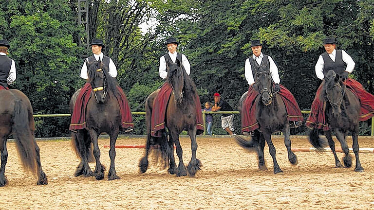 Showeinlage: Die Friesenquadrille Vogelsberg begeisterte mit ihren schwarzen Perlen. Showeinlage: Die Friesenquadrille Vogelsberg begeisterte mit ihren schwarzen Perlen.