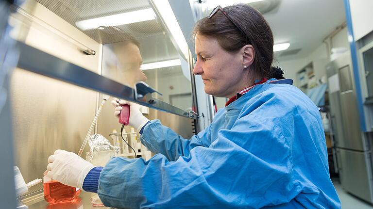 Ulrike Kämmerer mit Zellkulturen in ihrem Labor an der Würzburger Uniklinik. Ulrike Kämmerer mit Zellkulturen in ihrem Labor an der Würzburger Uniklinik.