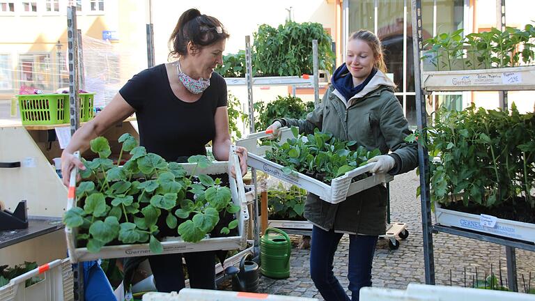 Beim 'Grünen Markt': Hildegard Engel (links) beim Straßenverkauf am Marktplatz in Gerolzhofen. Beim 'Grünen Markt': Hildegard Engel (links) beim Straßenverkauf am Marktplatz in Gerolzhofen.