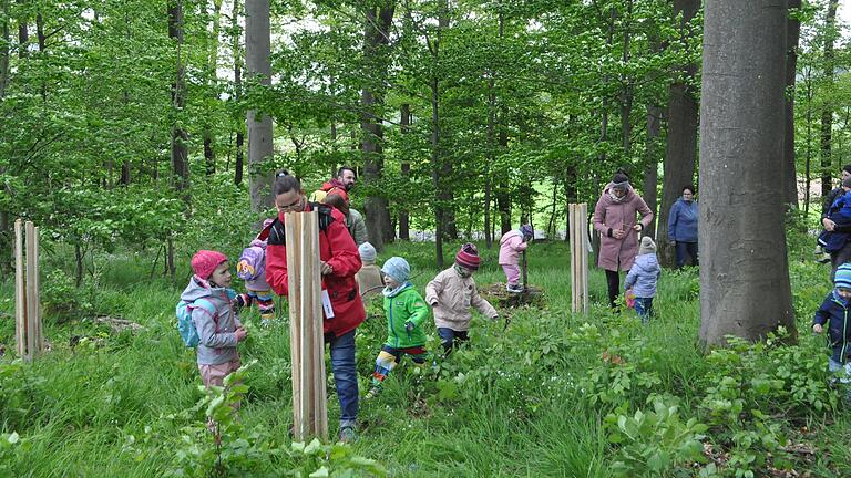 Die Hausener Kindergartenkinder pflanzten mit ihren Eltern und Großeltern eifrig Esskastanien.