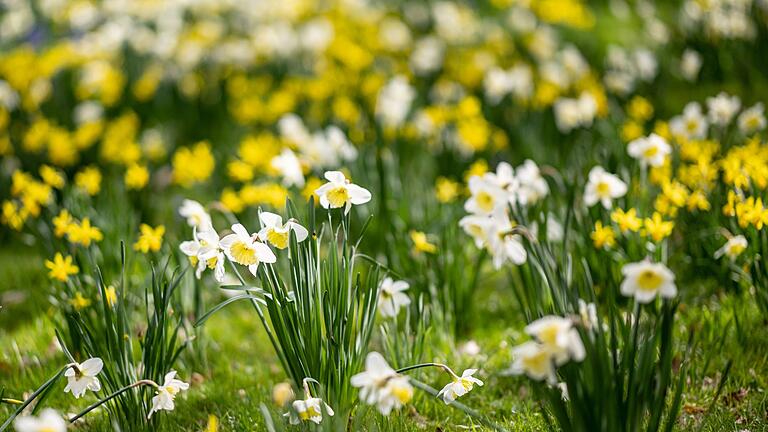 Frühling im Britzer Garten.jpeg       -  Was läuft über die Osterfeiertage im TV? Hier finden Sie das TV-Programm zu Ostern 2023 mit Tipps und Highlights für gemütliche Feiertage.