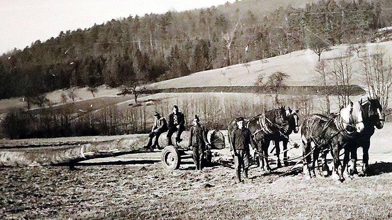 Geschafft: Eine starke Buche ist aus dem Wald gezogen. Das Foto zeigt (von rechts): Eduard Ankenbrand, Anton Fuchs, Werner Welsch und Georg Ankenbrand mit ihren Pferden.